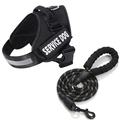 Skorter | DOGSAFE HARNESS – Safety dog harness with name tag & reflectors