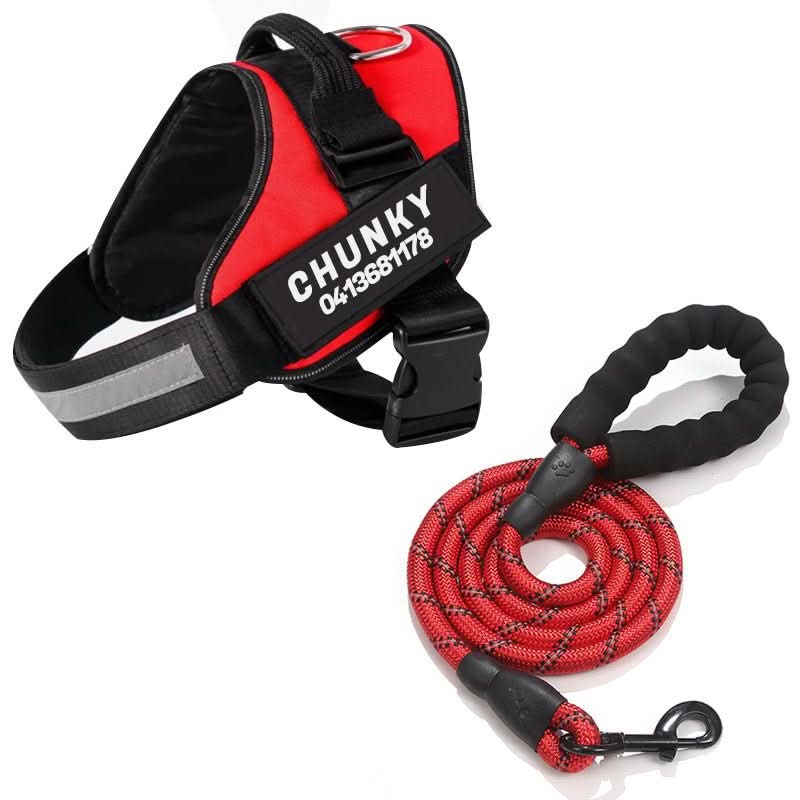 Skorter | DOGSAFE HARNESS – Safety dog harness with name tag & reflectors