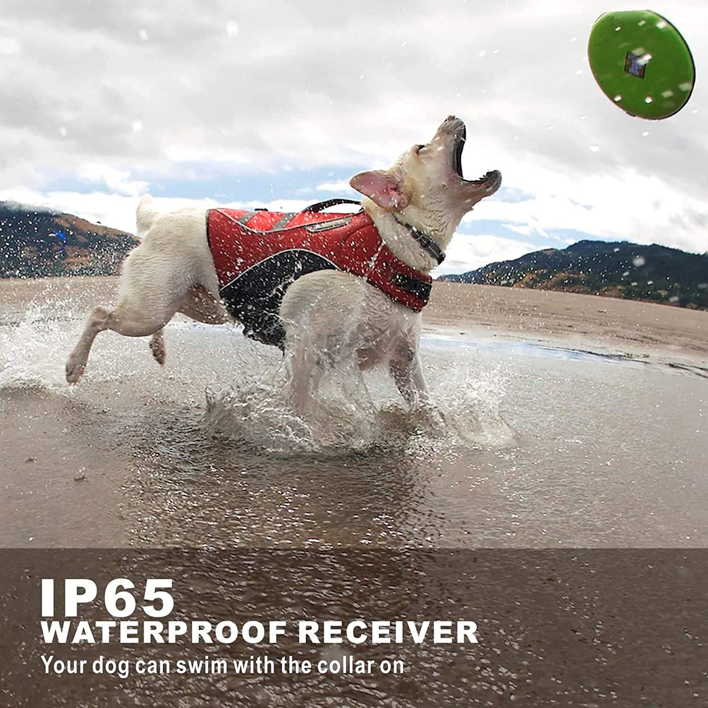 Skorter | Anti Barking Training Collar