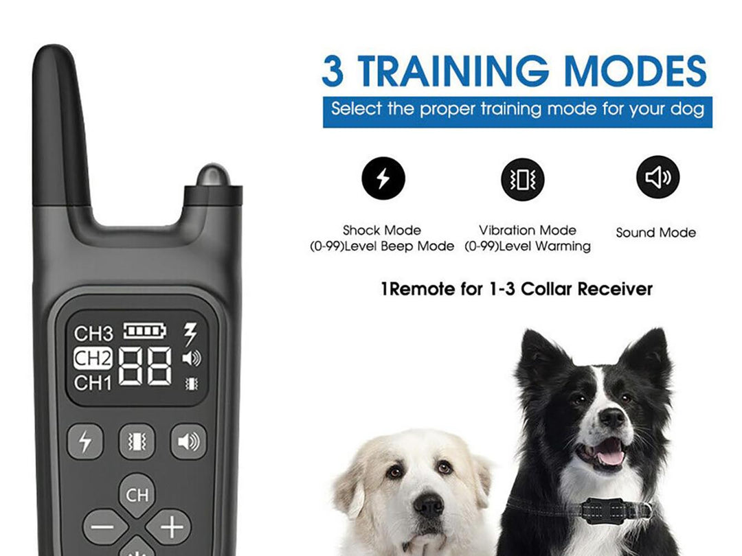 Skorter | Dog Training Collar