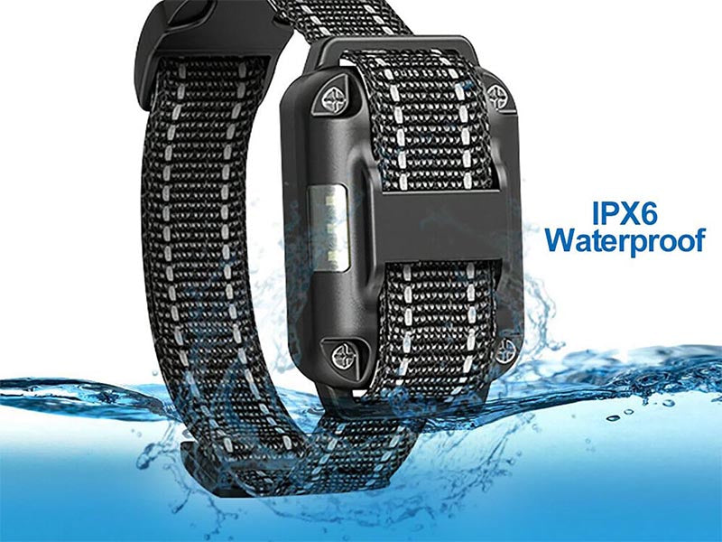 Skorter | Dog Training Collar