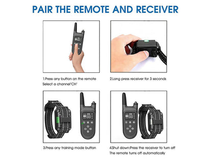 Skorter | Dog Training Collar