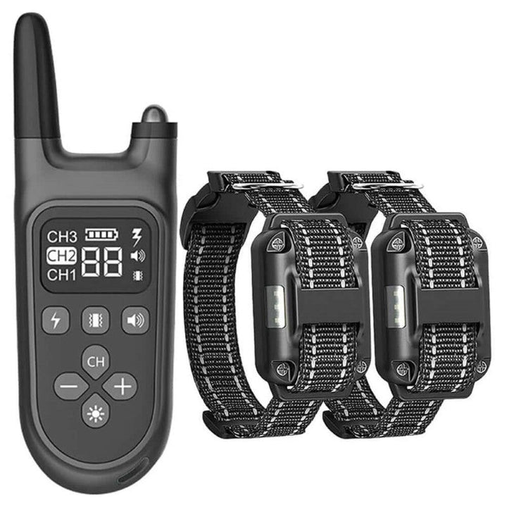 Skorter | Dog Training Collar