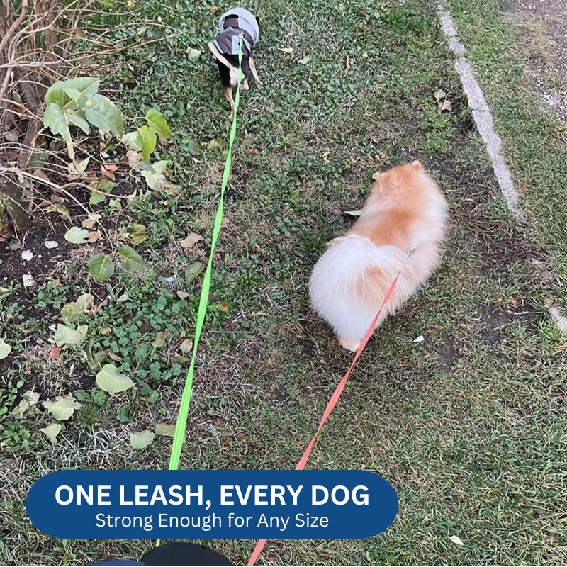 Skorter | 10FT Dual Retractable Dog Leash with Built-In Flashlight & Waste Bag Holder