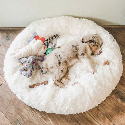 Skorter | Beef Plush Calming Donut Dog Bed for Small to Large Dogs