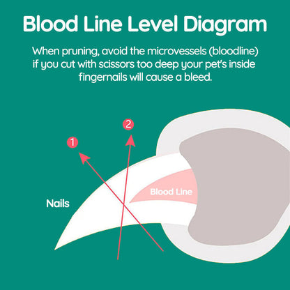 Skorter | Best Dog Nail Clipper With Quick Sensors