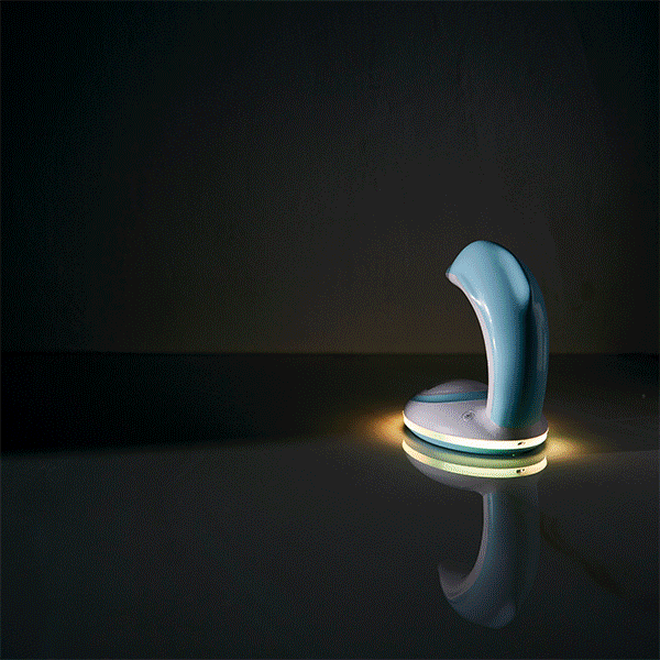 Skorter | Dolphin Rainbow Night Light