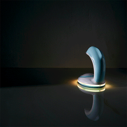 Skorter | Dolphin Rainbow Night Light