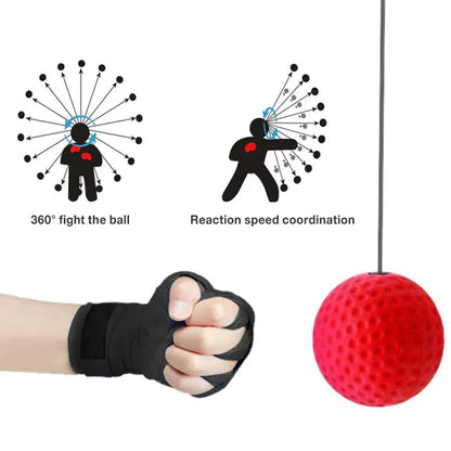 Skorter | Boxing Reflex Ball