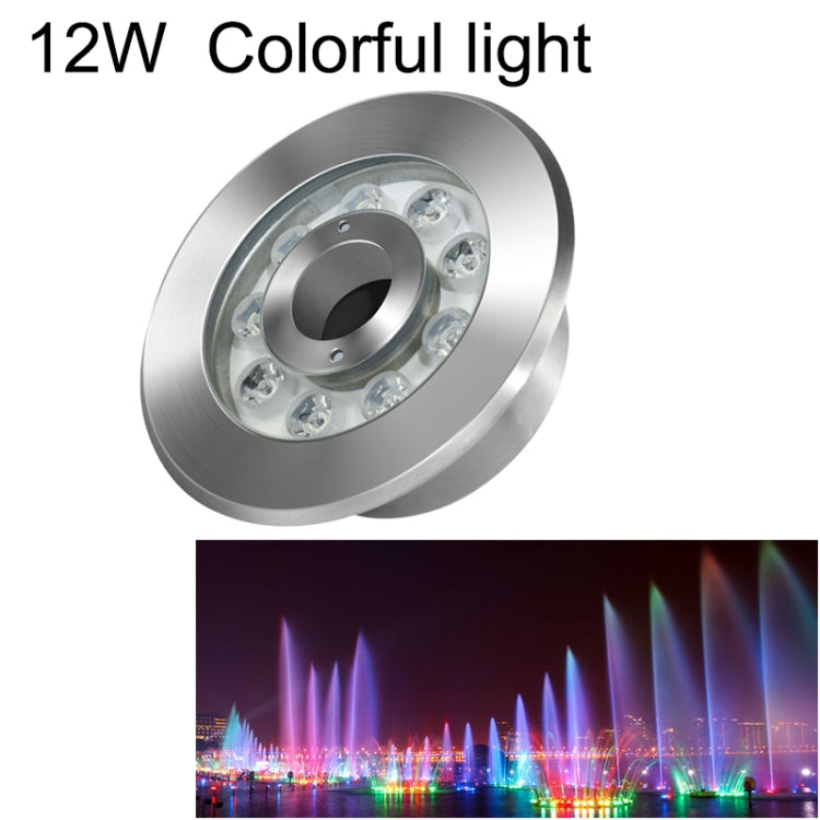Skorter | 12W Landscape Color Changing Ring LED Stainless Steel Underwater Spotlight (Colorful)