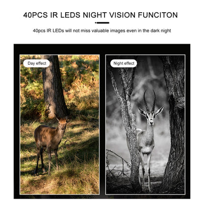 Skorter | H881 21 Mega Pixels 2.4 inch TFT Screen Hunting Trail Camera