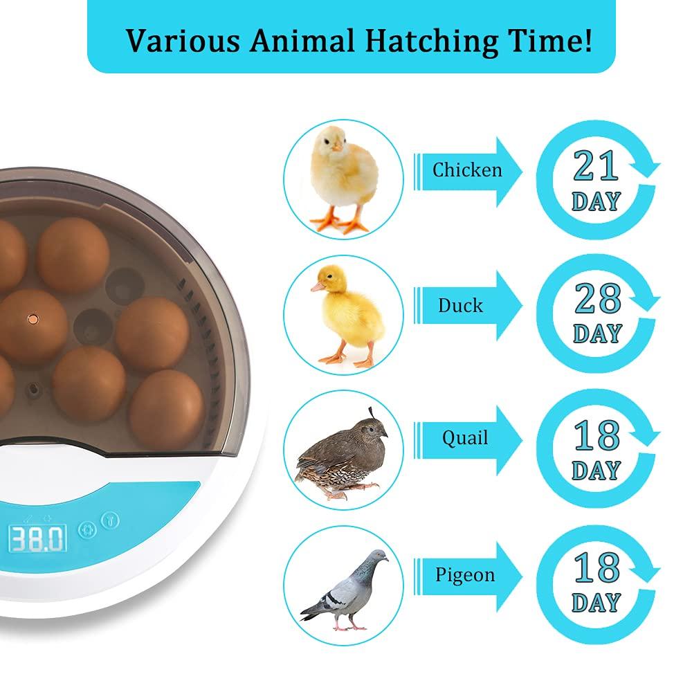 Skorter | Egg Incubator for Chicken Eggs Incubator for Egg Hatching Chicks with Temp Control LED Chicken Hatcher