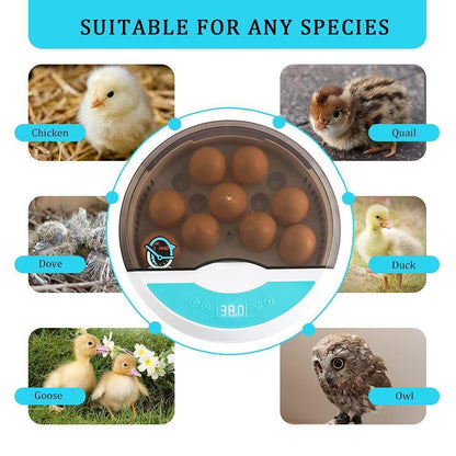 Skorter | Egg Incubator for Chicken Eggs Incubator for Egg Hatching Chicks with Temp Control LED Chicken Hatcher