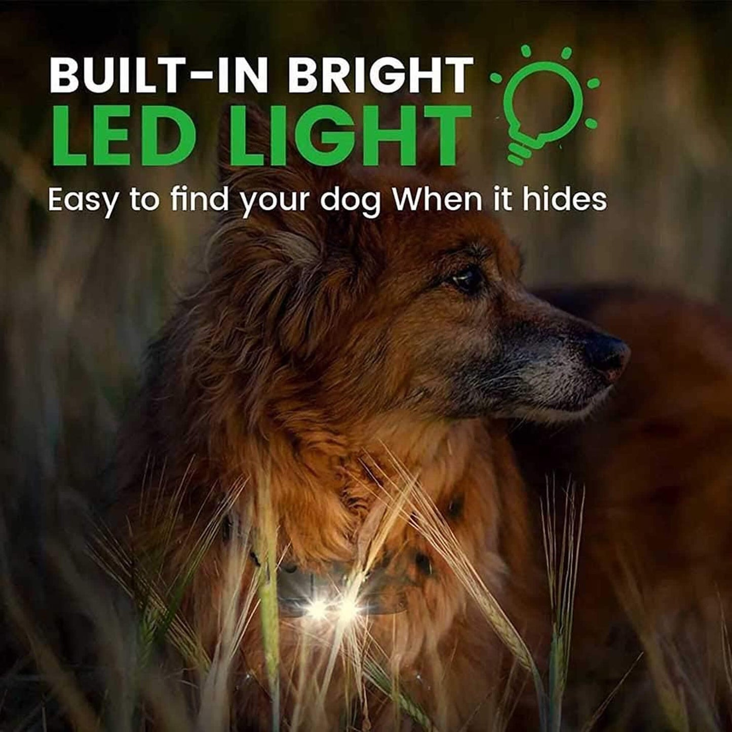 Skorter | 800M Rechargeable Electric Dog Training Collar | Waterproof, Remote Control & Ideal for Effective Dog Training