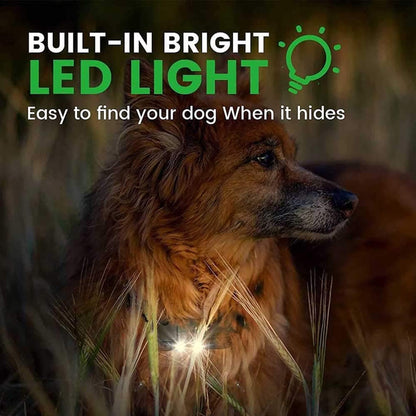 Skorter | 800M Rechargeable Electric Dog Training Collar | Waterproof, Remote Control & Ideal for Effective Dog Training