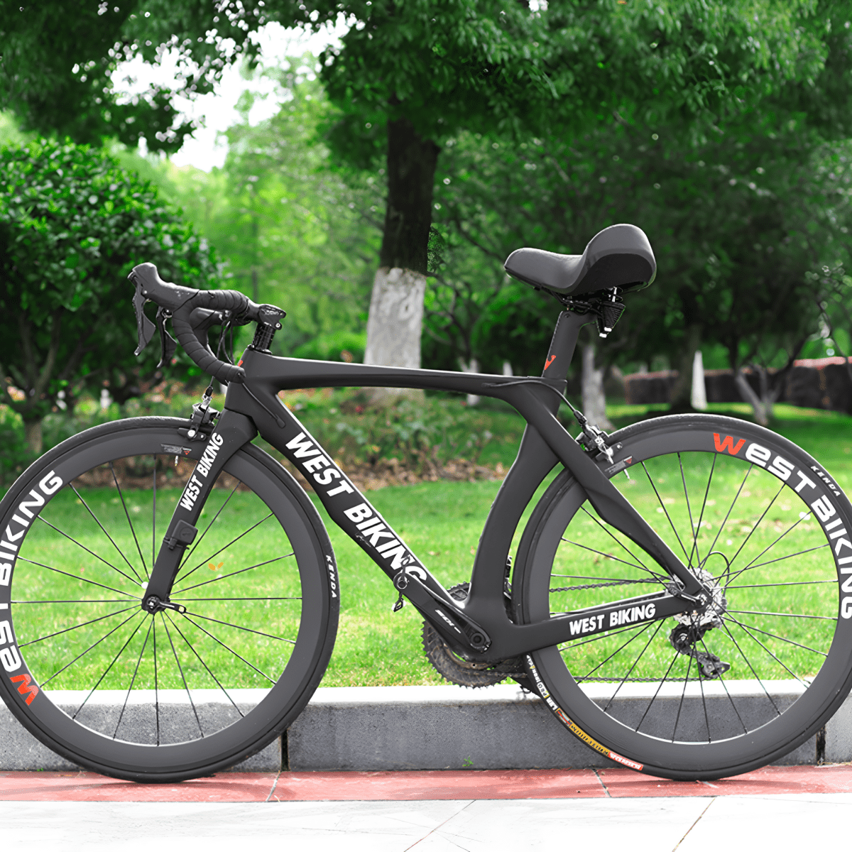 Skorter | Ergonomic Comfort Saddle for Men & Women