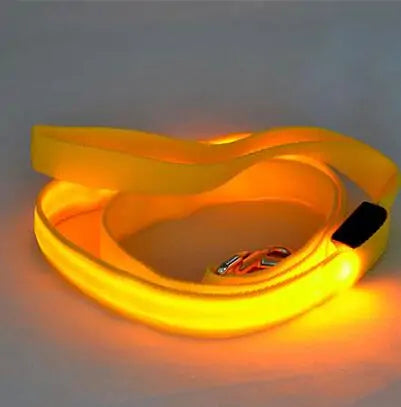 Skorter | Leash for dogs glow in the dark