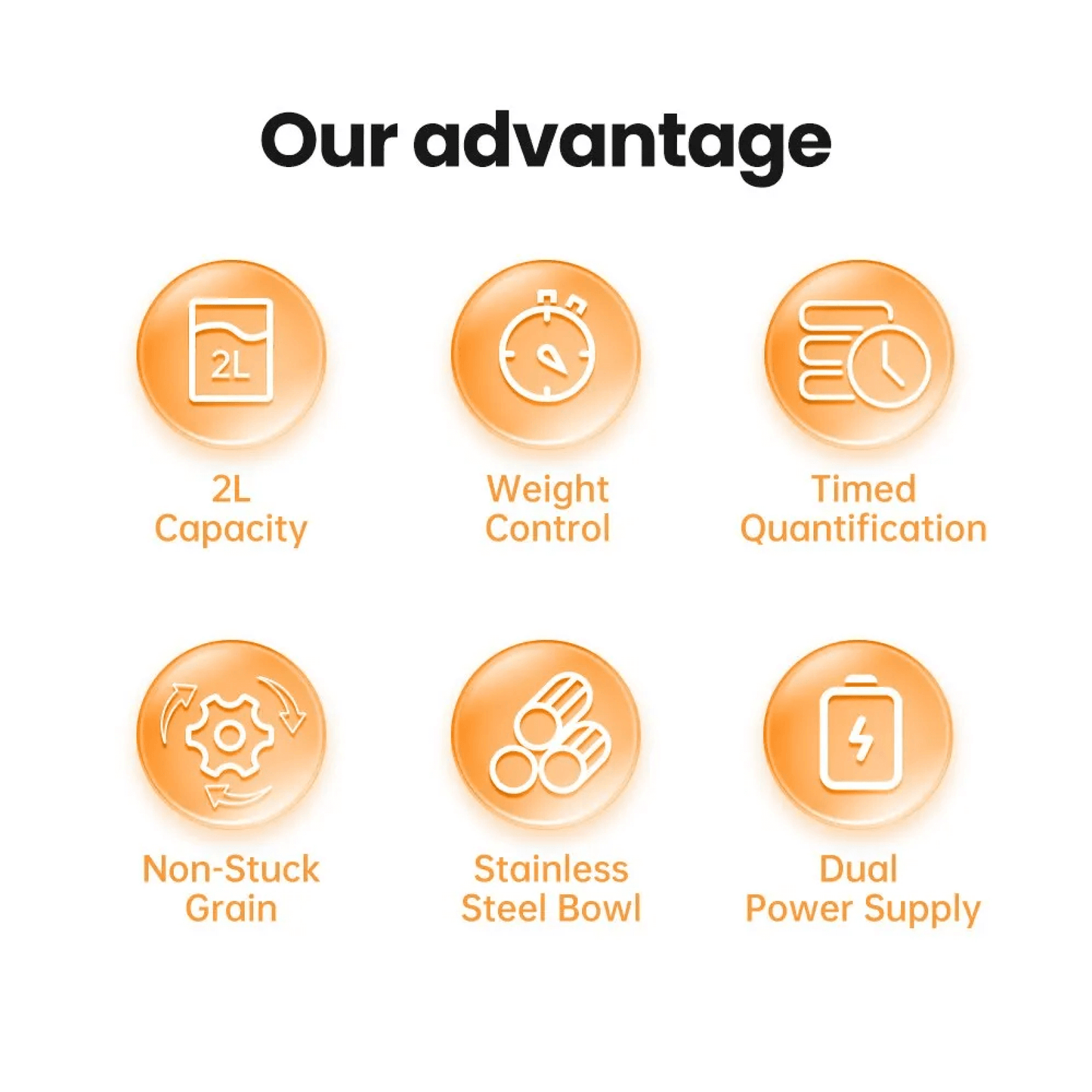 Skorter | Automatic Dog Timed Food Feeder Dispenser