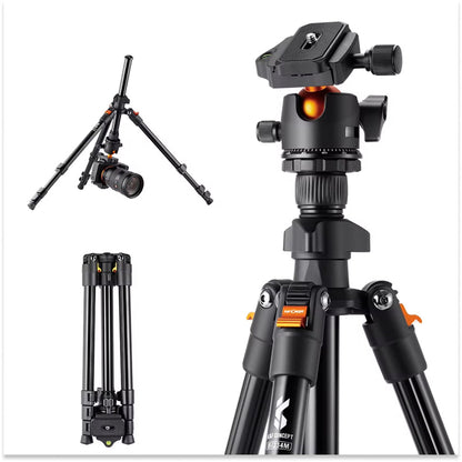 Skorter | Camera Tripods – Lightweight Tripod for Phone and Camera, 187cm/73.6in, Great Travel Tripods