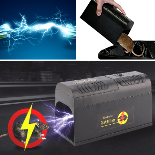 Skorter | Best Electric Mouse Trap