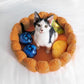 Skorter | Fruit tart Cat bed