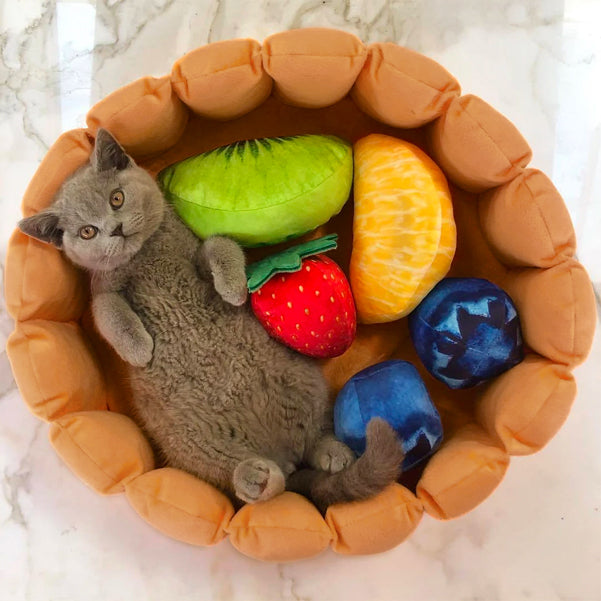 Skorter | Fruit tart Cat bed