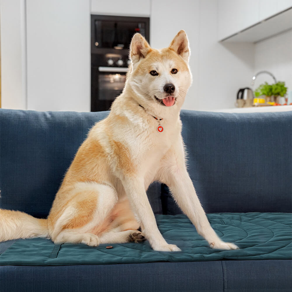 Skorter | Folding Waterproof Portable Dog Car Seat Mat Dog Camping Mat