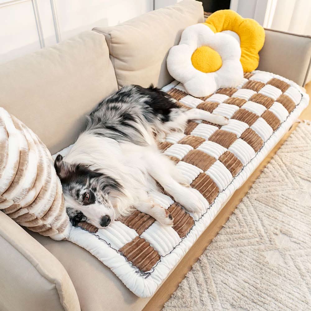 Skorter | COZYCOVER – Cozy pet blanket made of chenille with furniture protection function