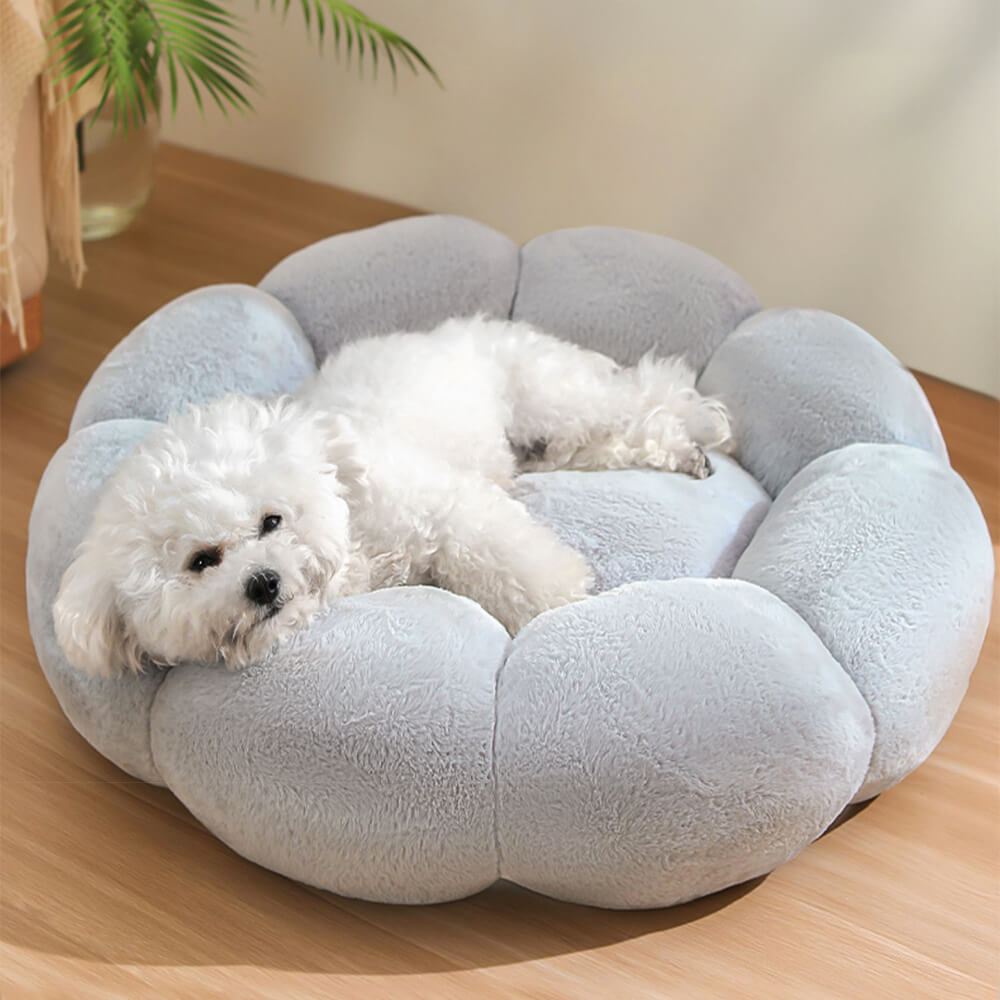 Skorter | Flower Heat Full Support Washable Decoration Dog & Cat Bed