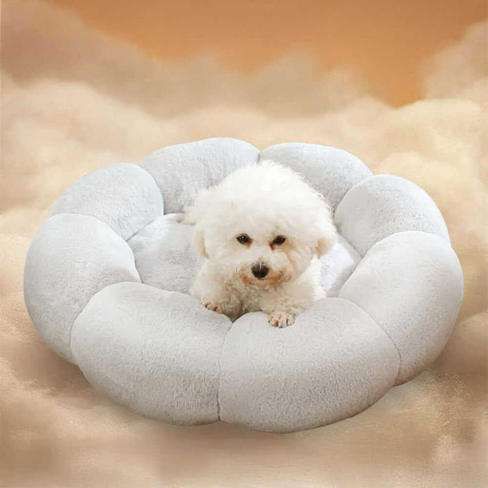 Skorter | Flower Heat Full Support Washable Decoration Dog & Cat Bed