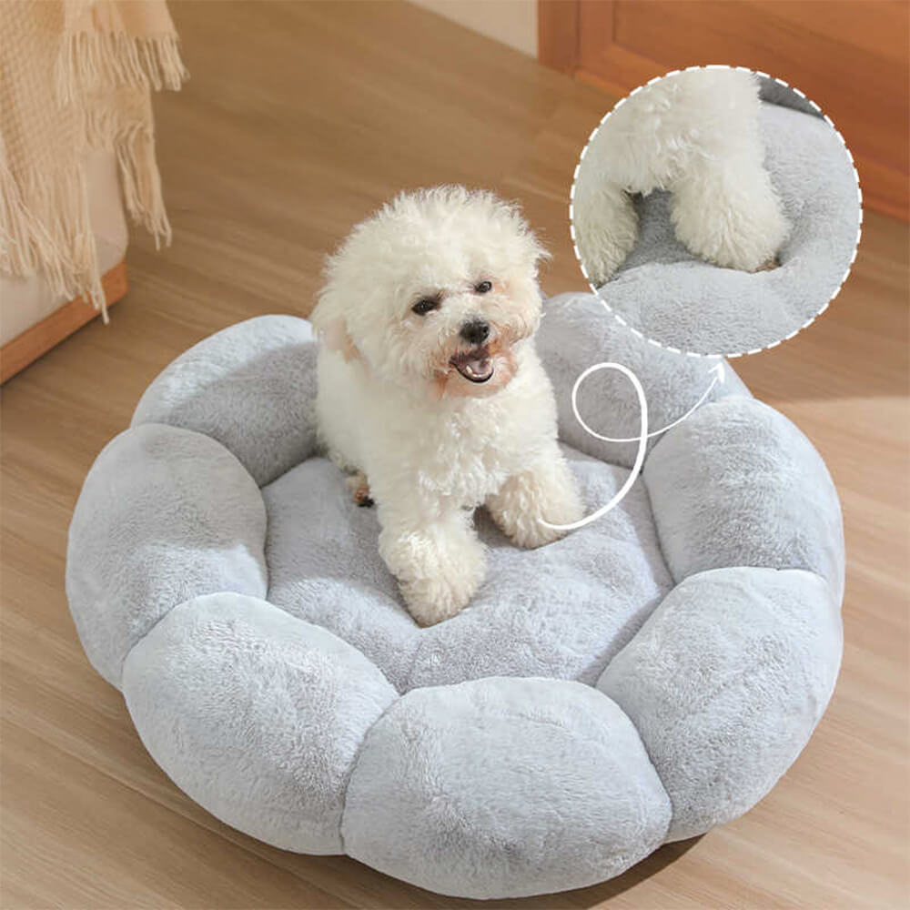 Skorter | Flower Heat Full Support Washable Decoration Dog & Cat Bed