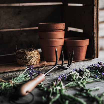 Skorter | Cultivator