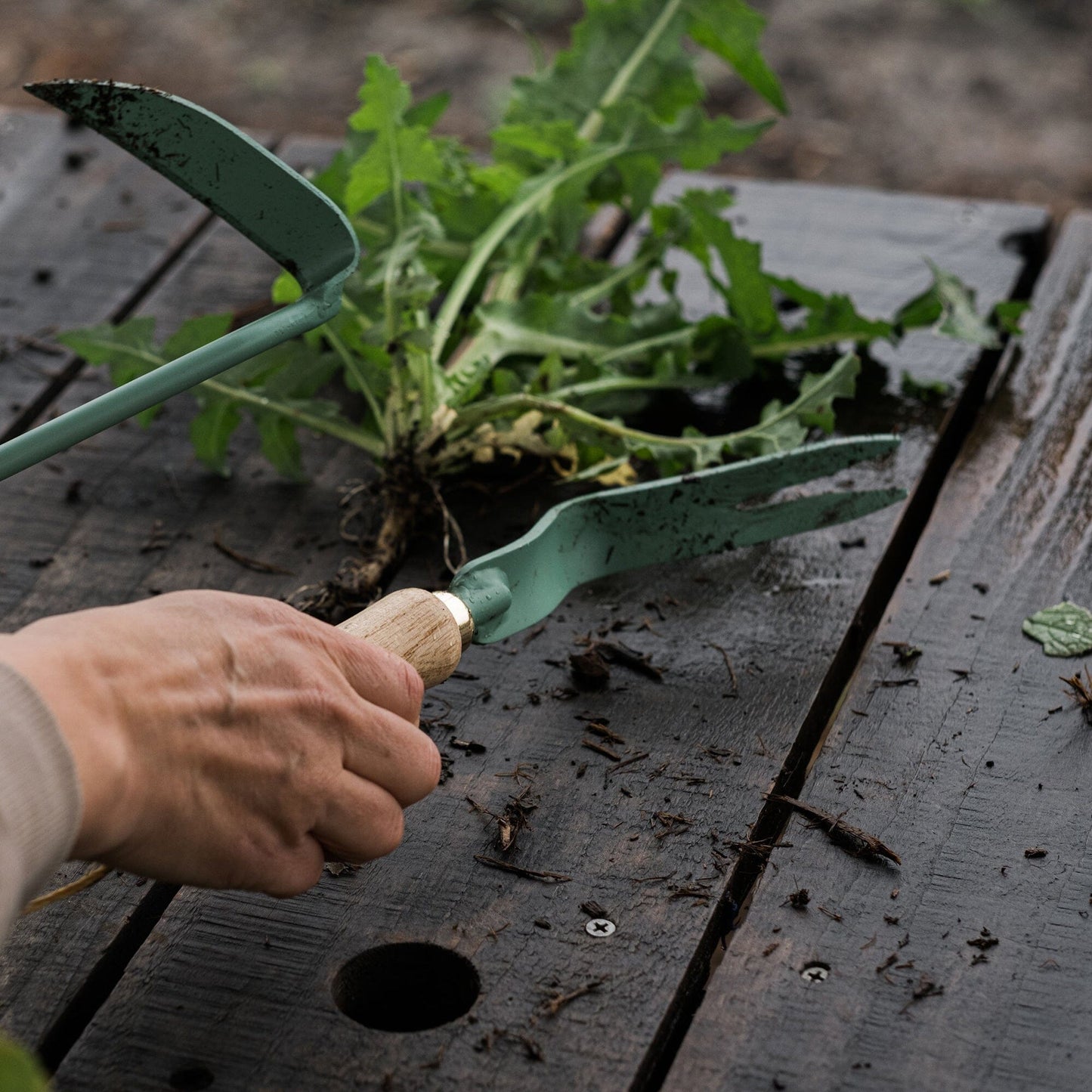 Skorter | Dandelion Weeding Fork