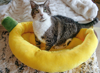 Skorter | Banana Cat Bed