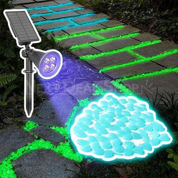 Skorter | Glow-in-the-Dark Steiner + Sun-Powered LED Black Light Combination Set
