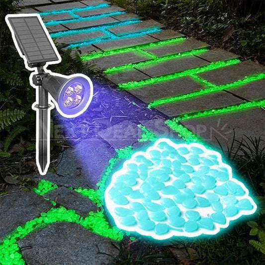 Skorter | Glow-in-the-Dark Steiner + Sun-Powered LED Black Light Combination Set