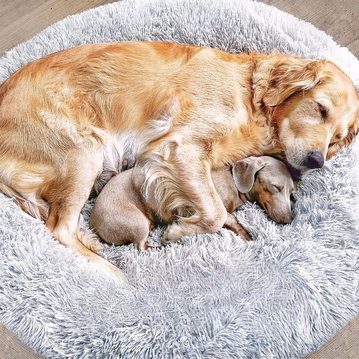 Skorter | FluffyNest Comfort Dog Bed – Orthopedic Plush Sleeping Cushion for Dogs