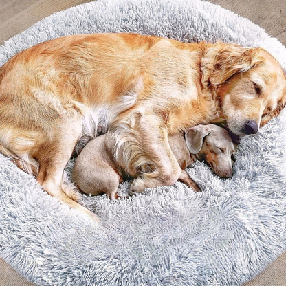 Skorter | FluffyNest Comfort Dog Bed – Orthopedic Plush Sleeping Cushion for Dogs