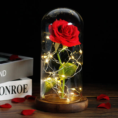 Skorter | Eternal Rose in Glass Dome | Handpicked, LED Lit & Ideal for Romantic Gifts and Home Decor