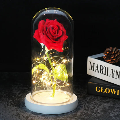 Skorter | Eternal Rose in Glass Dome | Handpicked, LED Lit & Ideal for Romantic Gifts and Home Decor