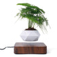 Skørter | Air Planter
