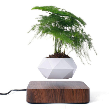 Skorter | Air Planter