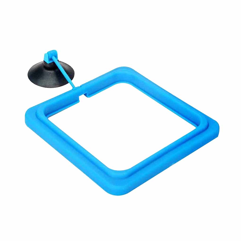 Skorter | Aquarium feeding ring