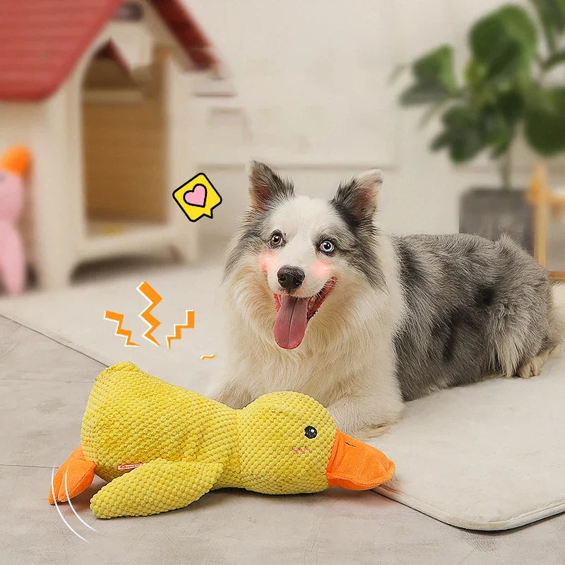 Skorter | Calming duck for dogs