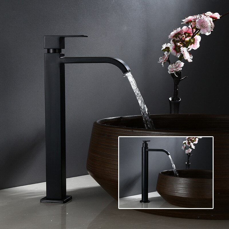 Skorter | Black Cold Water Single Faucet for Sink Installation