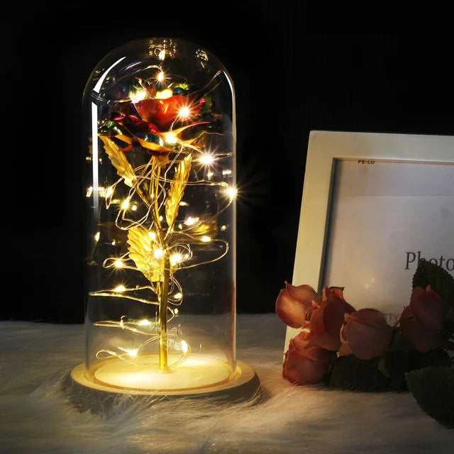Skorter | Eternal Rose in Glass Dome | Handpicked, LED Lit & Ideal for Romantic Gifts and Home Decor