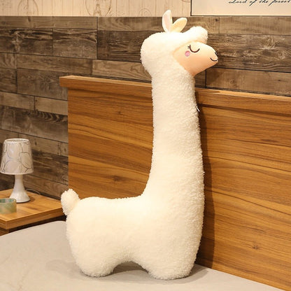 Skorter | Alpaca | XL side sleeper pillow for a healthy posture