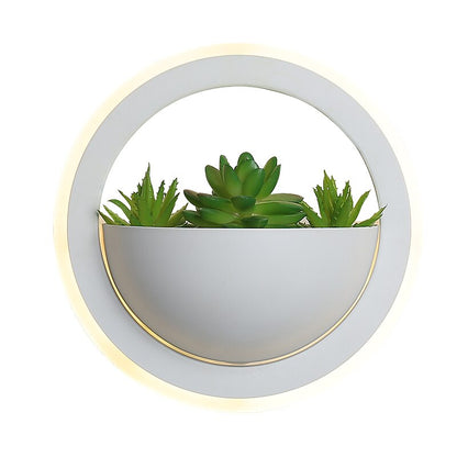 Skorter | Circle Wall Lamp with Artificial Plant