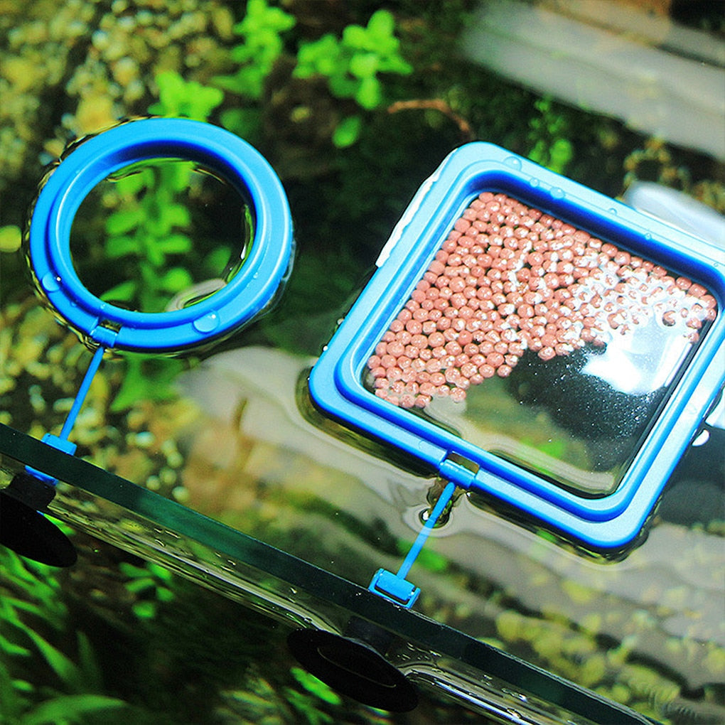 Skorter | Aquarium feeding ring