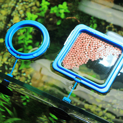 Skorter | Aquarium feeding ring